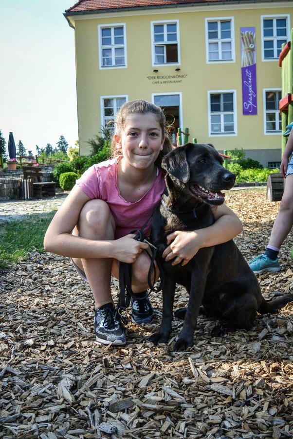 Familien- Und Freizeithotel Gutshaus Petkus Extérieur photo
